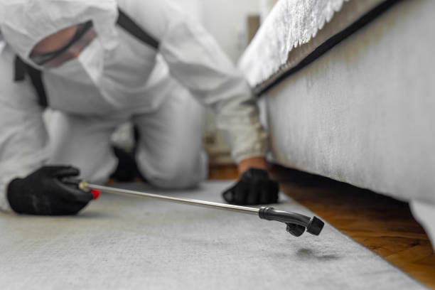 Professional Bed Bug Control technician working in Iroquois County County, IL